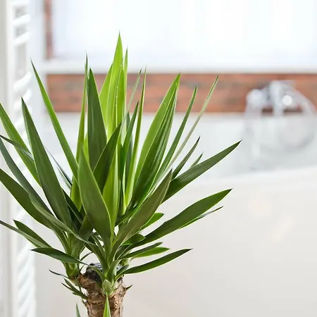 Appartement R&b Poznań