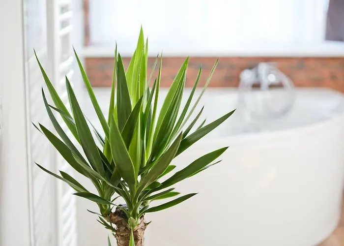 Apartamento R&b Poznan